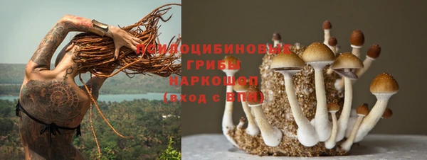 а пвп мука Навашино